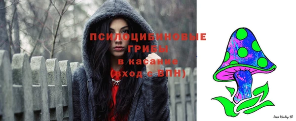 прущая мука Дмитровск
