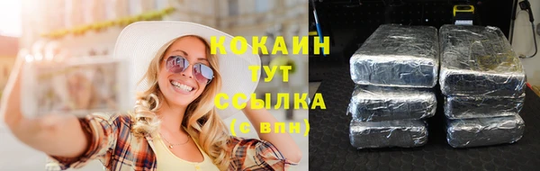 стафф Дмитриев