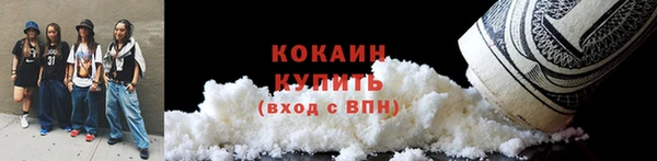 стафф Дмитриев