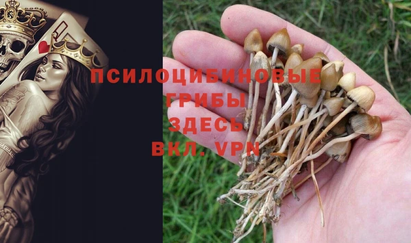 стафф Дмитриев
