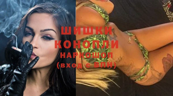 стафф Дмитриев