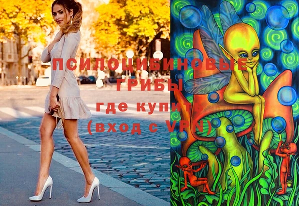 стафф Дмитриев