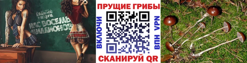 Галлюциногенные грибы мухоморы Кола